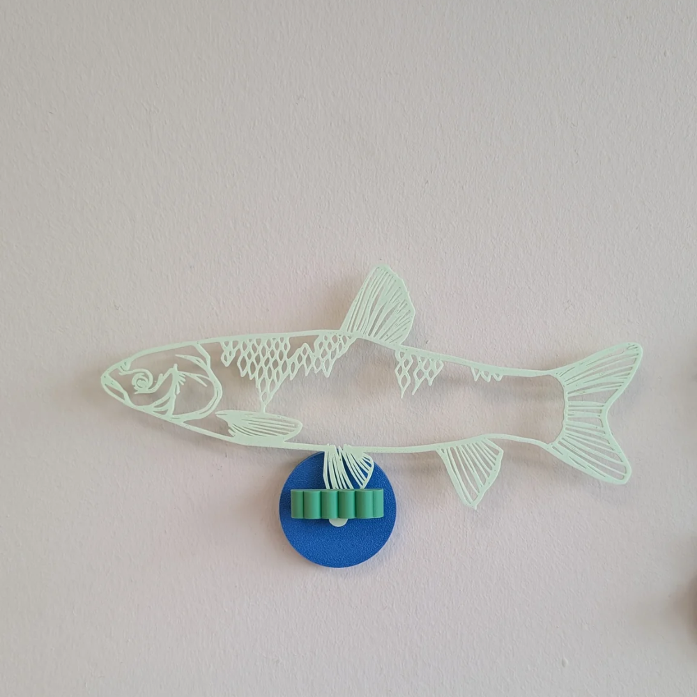 Joeff - Vis langwerpig