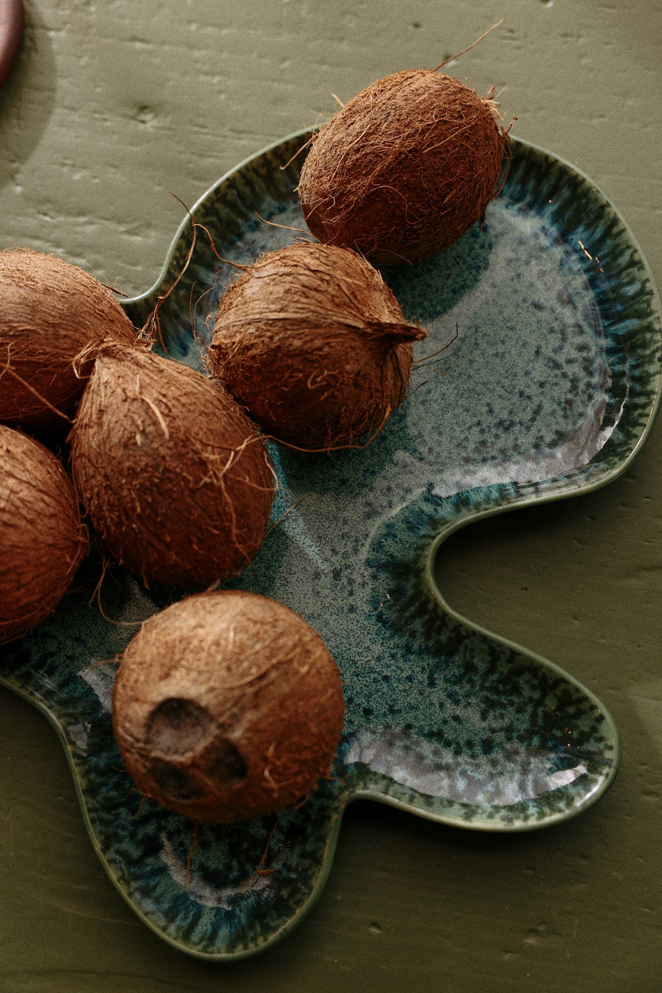 HKLIVING - Shell Plate Teal