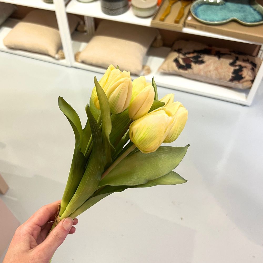 Bosje Tulpen Kort - Wit