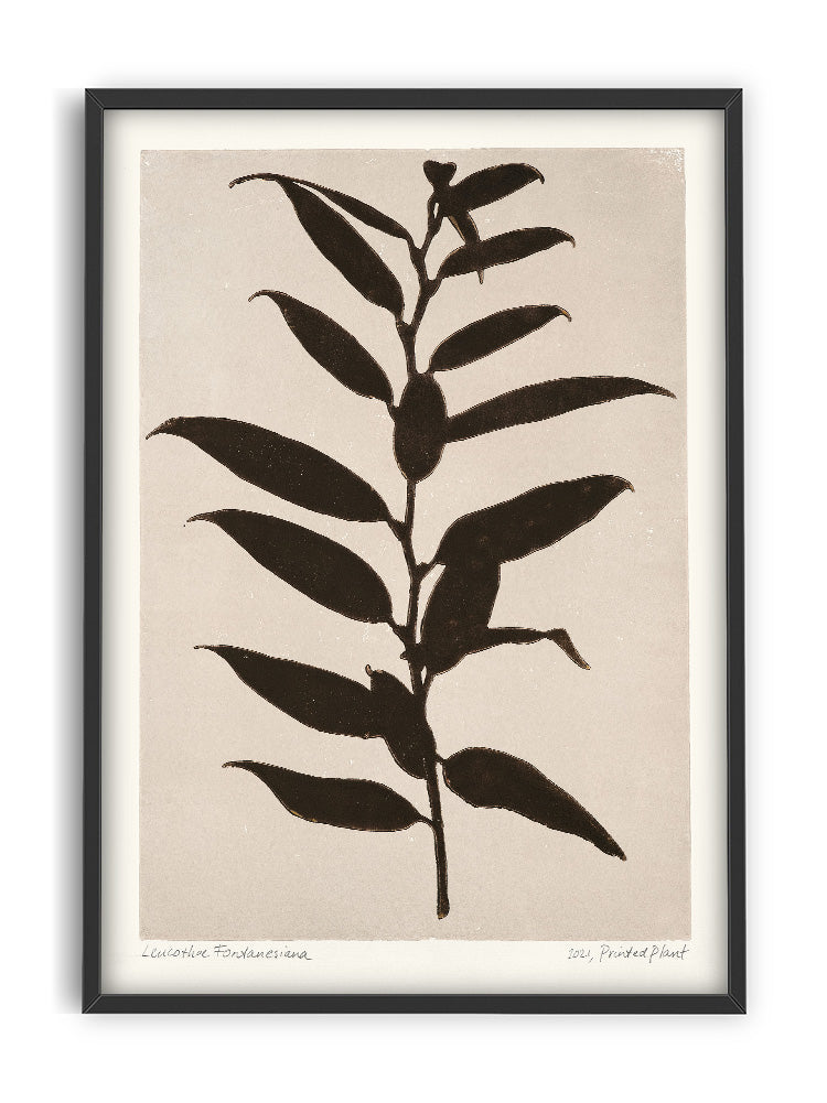 Poster - Printed Plant 30x40cm