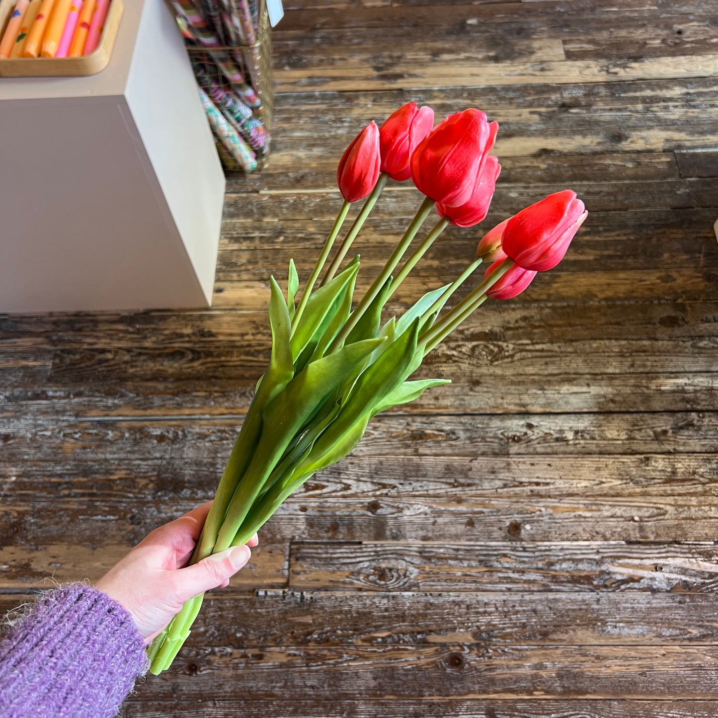 Bosje Tulpen Lang - Fuchsia