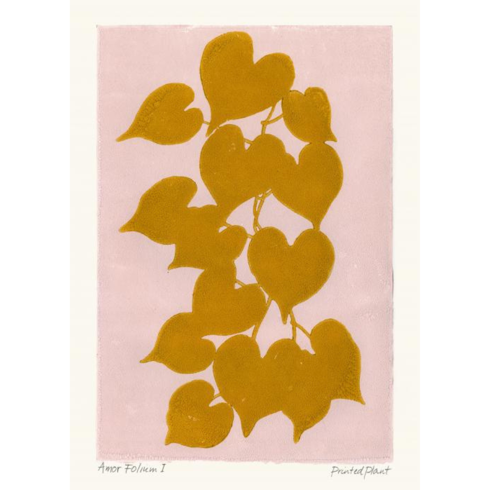 Poster - Printed Plant Amor Folium 30x40