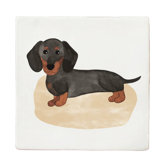 Tegeltje Liefs Karlijn - Teckel