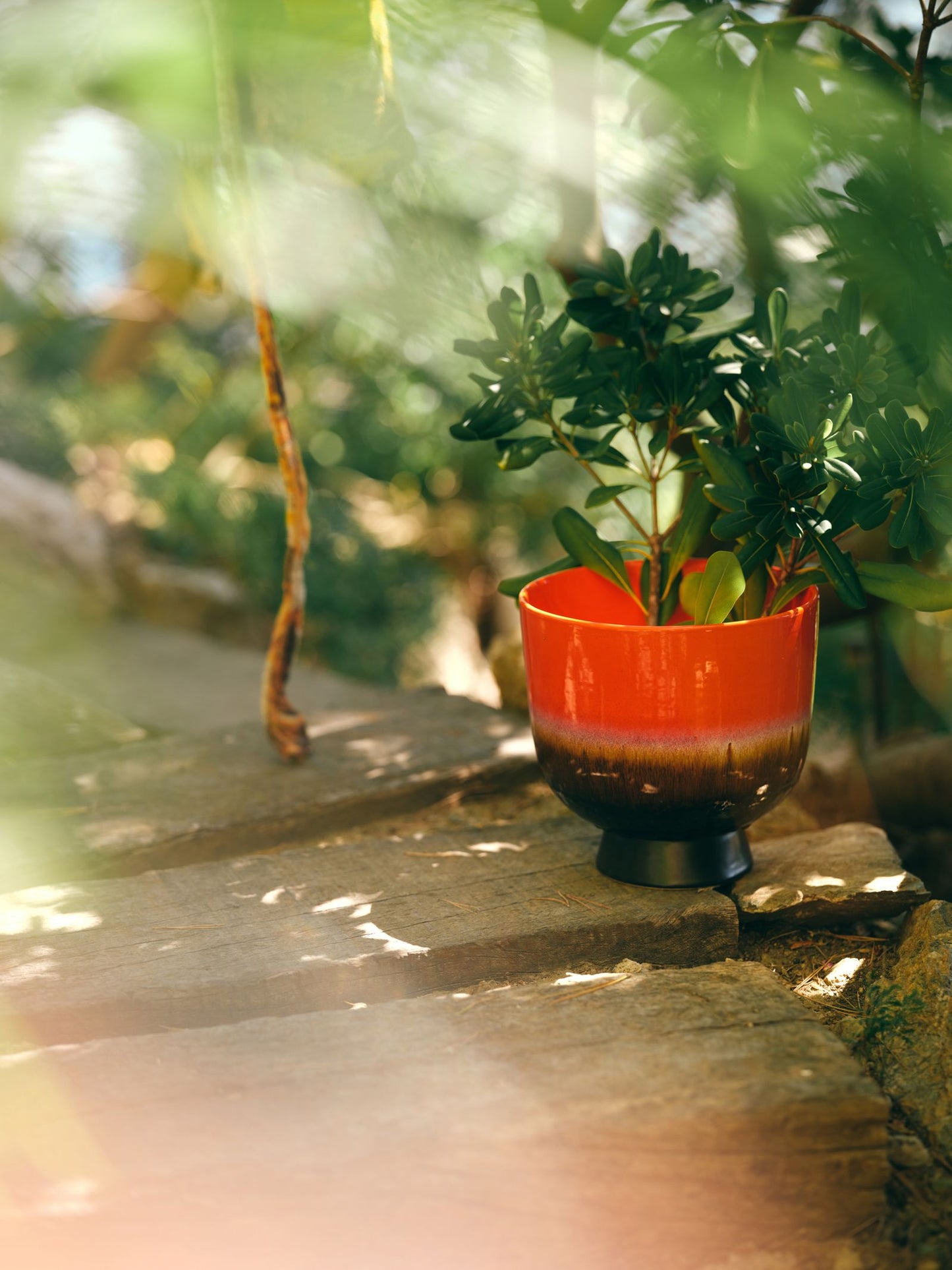 HKLIVING - Retro Flower Pot - Cherry Red