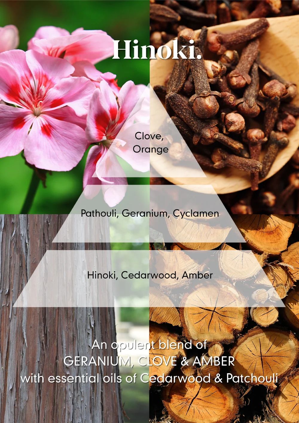Osmology - Reed Diffuser - Hinoki