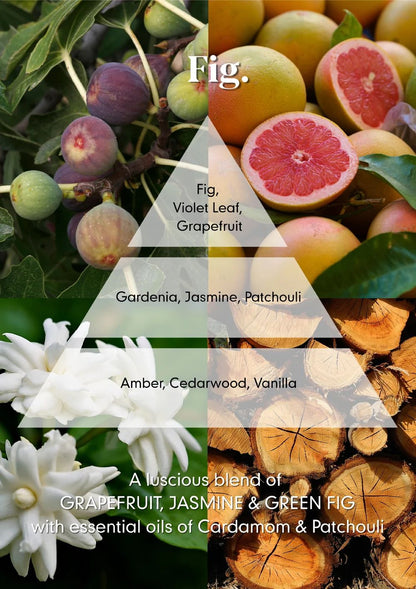 Osmology - Reed Diffuser - Fig