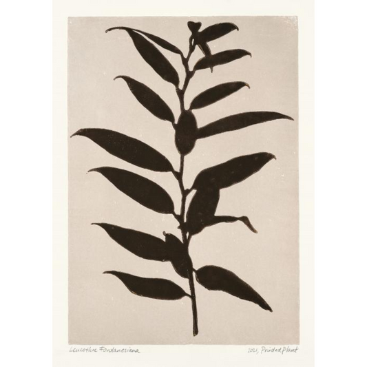 Poster - Printed Plant 30x40cm