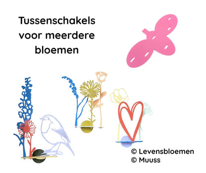 Joeff - Tussenschakel XL