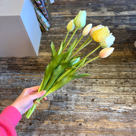 Bosje Tulpen Lang - Geel/Groen