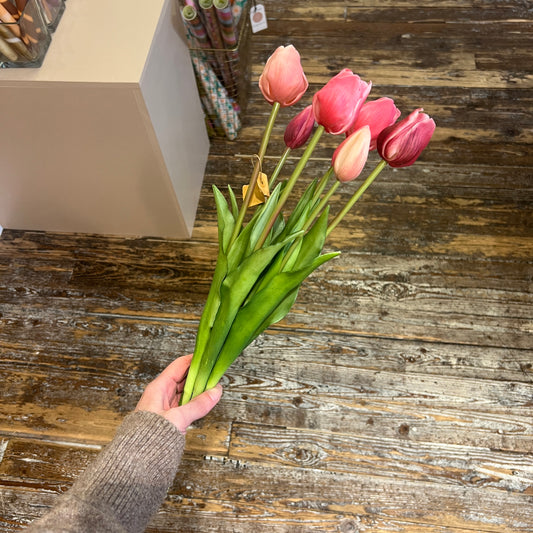 Bosje Tulpen Lang - Donkerroze