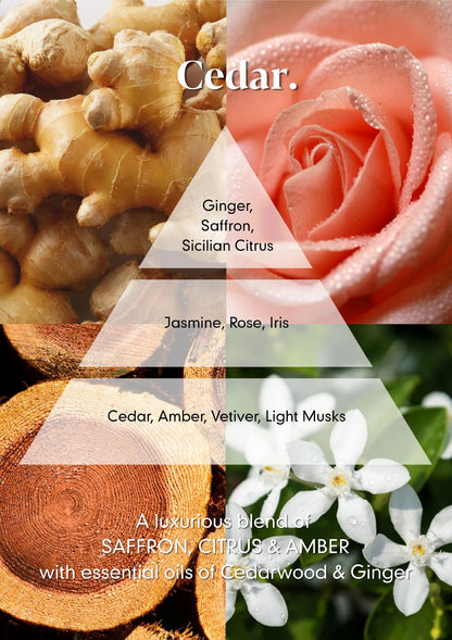 Osmology - Reed Diffuser - Cedar