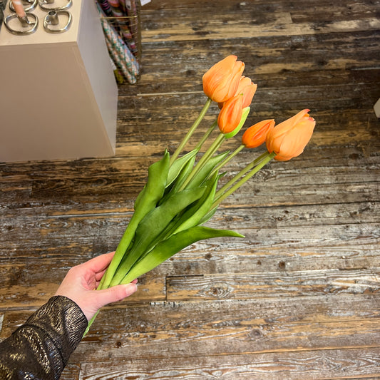 Bosje Tulpen Lang - Zalm